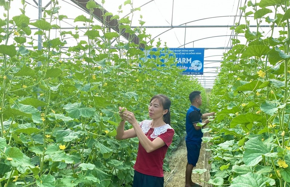 hop tac xa truong ha but pha voi mo hinh nong nghiep thong minh