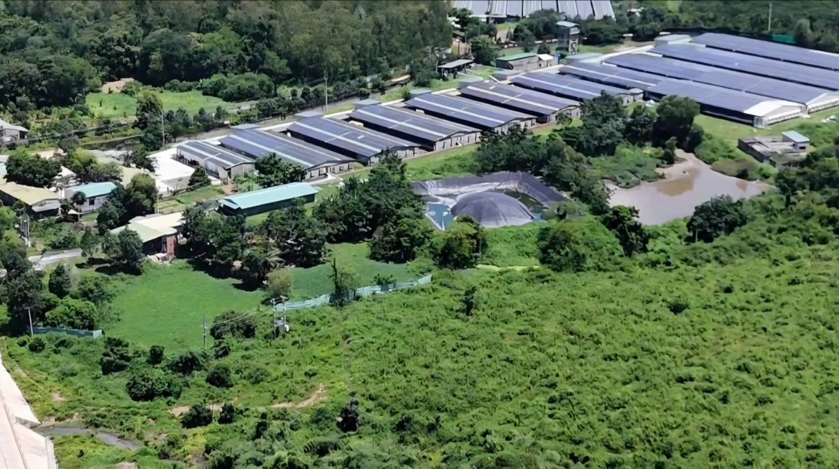 Đắk Lắk phê bình 35 xã, phường chưa kê khai các hoạt động chăn nuôi 6 tháng đầu năm 2026