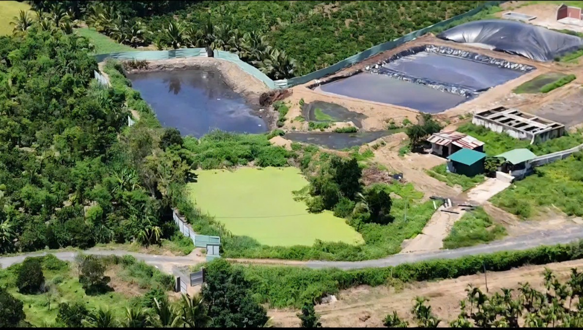 Đắk Lắk phê bình 35 xã, phường chưa kê khai các hoạt động chăn nuôi 6 tháng đầu năm 2026