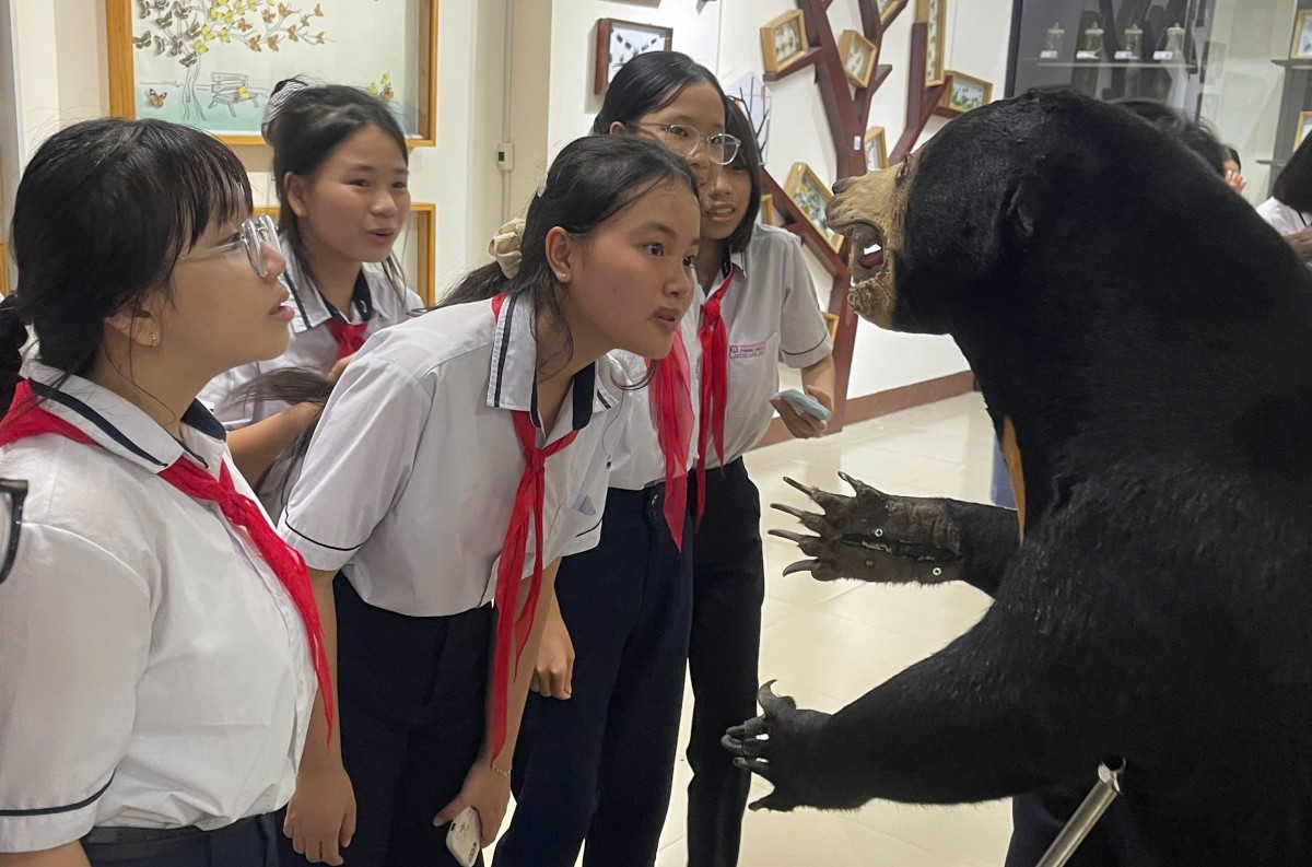 Lan tỏa thông điệp bảo vệ rừng từ những trải nghiệm thực tế