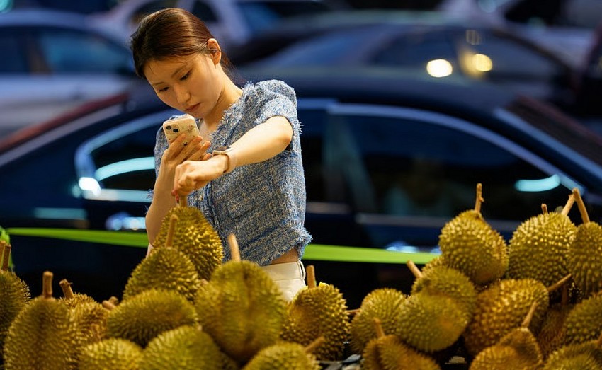 Malaysia tăng tốc giành thị phần sầu riêng tại Trung Quốc, thách thức vị thế của Thái Lan