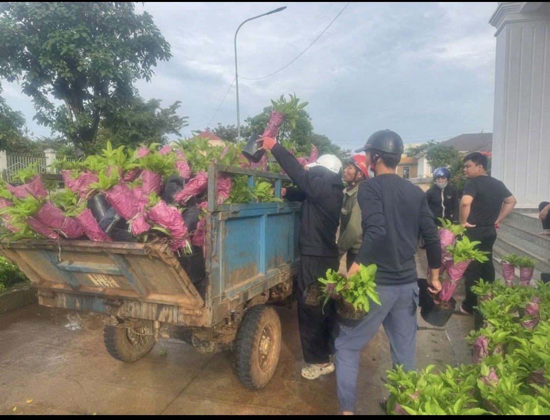 Khi ý Đảng hòa cùng lòng dân kiến tạo nông thôn xanh