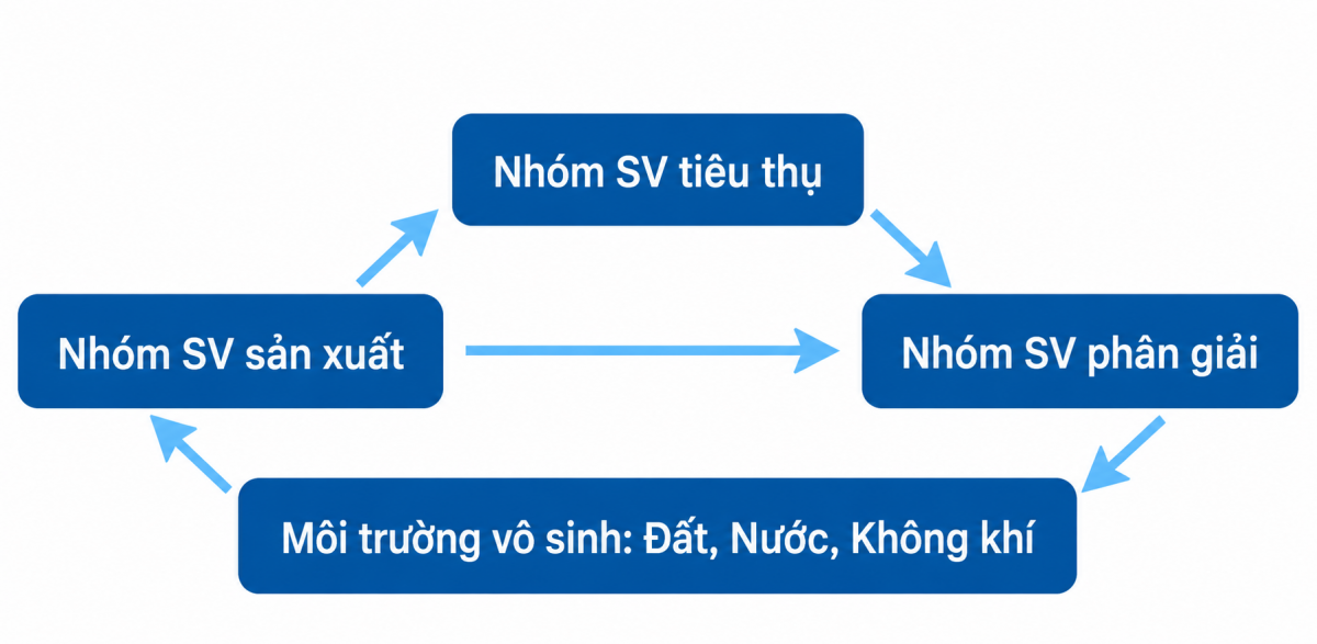Hệ sinh thái: Nền tảng phát triển thủy sản bền vững &ndash; Tạp chí Thủy sản Việt Nam
