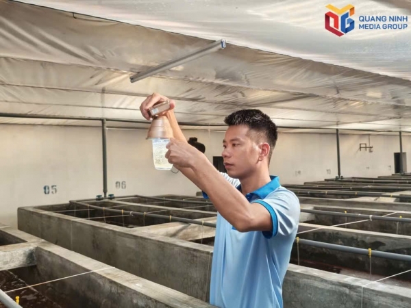 Quảng Ninh đẩy mạnh ứng dụng khoa học, công nghệ vào sản xuất nông nghiệp.