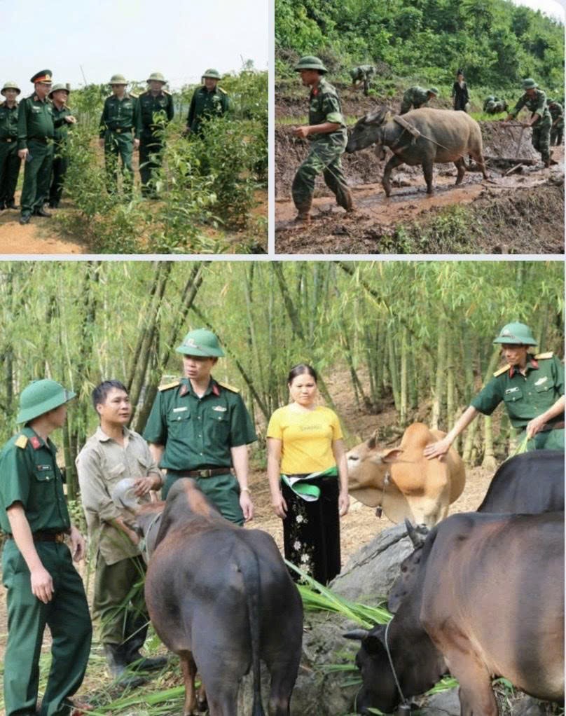 Tuyên truyền nâng cao nhận thức về Quân đội tham gia lao động sản xuất, kết hợp quốc phòng với kinh tế - xã hội