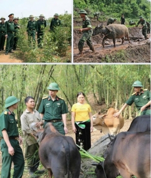 Tuyên truyền nâng cao nhận thức về Quân đội tham gia lao động sản xuất, kết hợp quốc phòng với kinh tế - xã hội