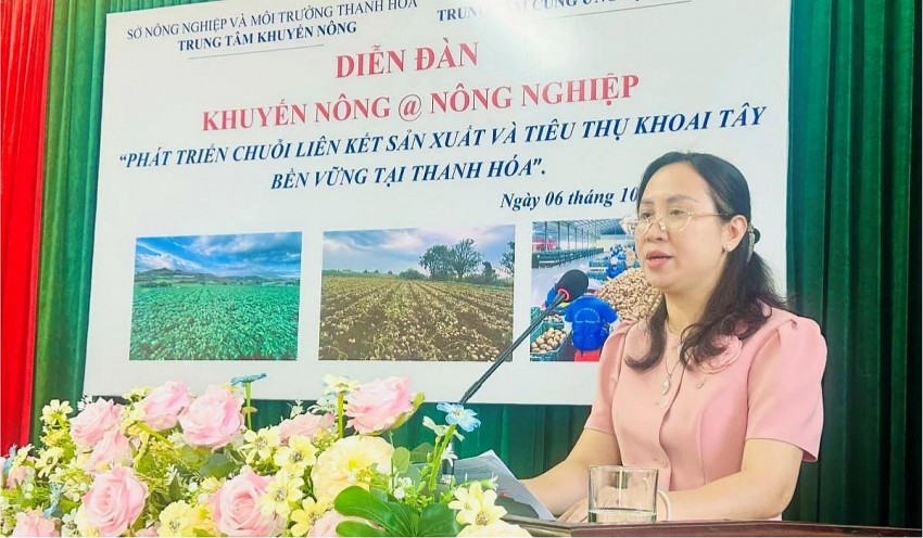 Phát triển chuỗi liên kết sản xuất, tiêu thụ khoai tây bền vững tại Thanh Hóa