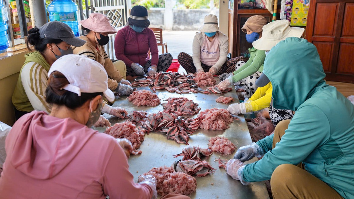 Chả cá Lý Sơn: Từ sản vật biển đến nguồn sinh kế mới