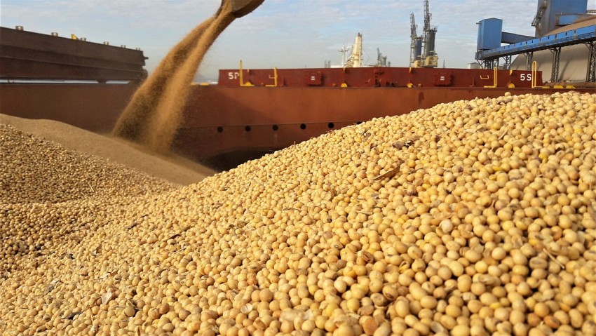 Trung Quốc đặt mục tiêu đạt 725 triệu tấn lương thực vào năm 2030
