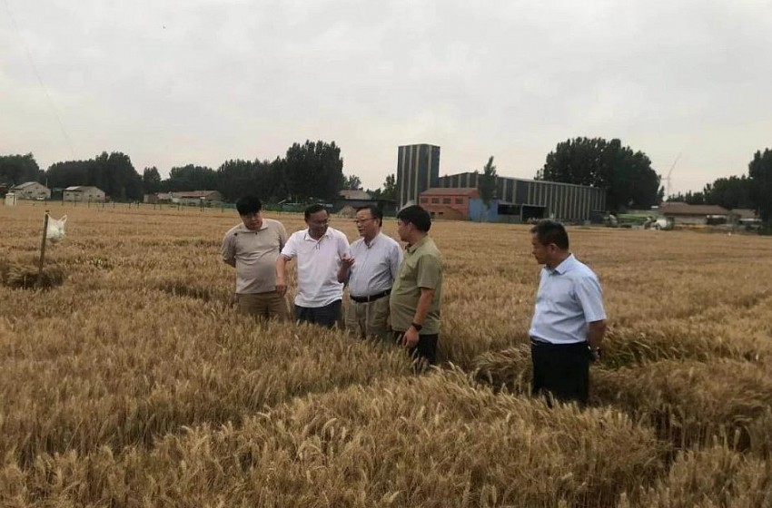 Nước tưới hoạt hóa bằng khoáng chất và ánh sáng mặt trời giúp năng suất cây trồng tăng tới hơn 100%