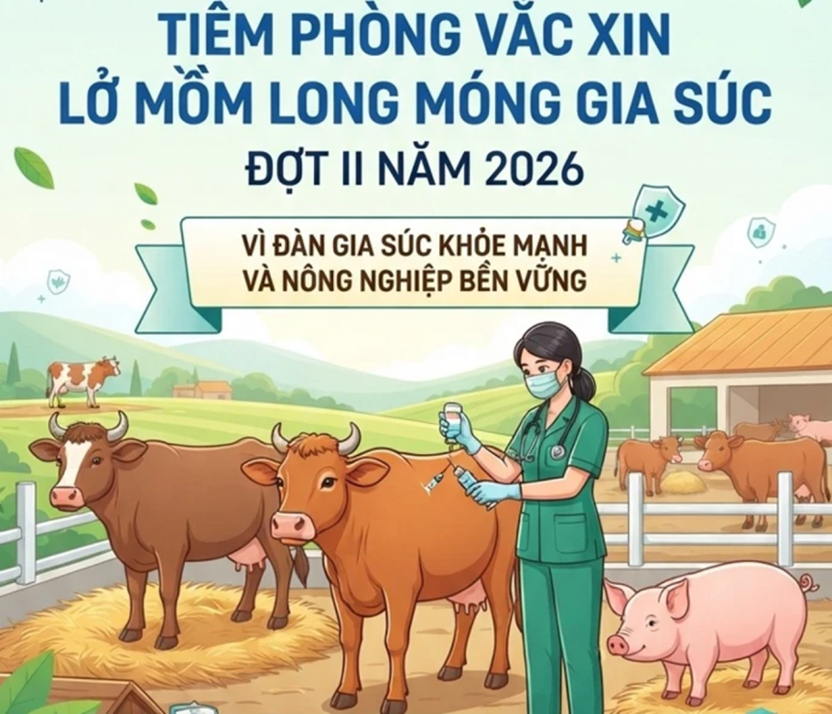 Tp. Huế đẩy mạnh tiêm phòng LMLM, chủ động phòng chống dịch bệnh gia súc