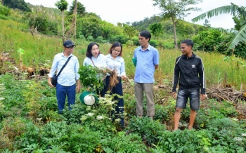 Đà Nẵng mở hướng sinh kế mới từ lợi thế vùng cao