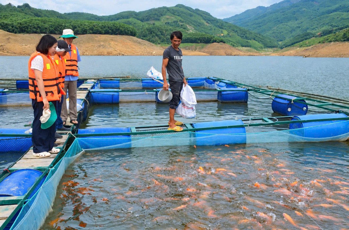 Đà Nẵng mở hướng sinh kế mới từ lợi thế vùng cao