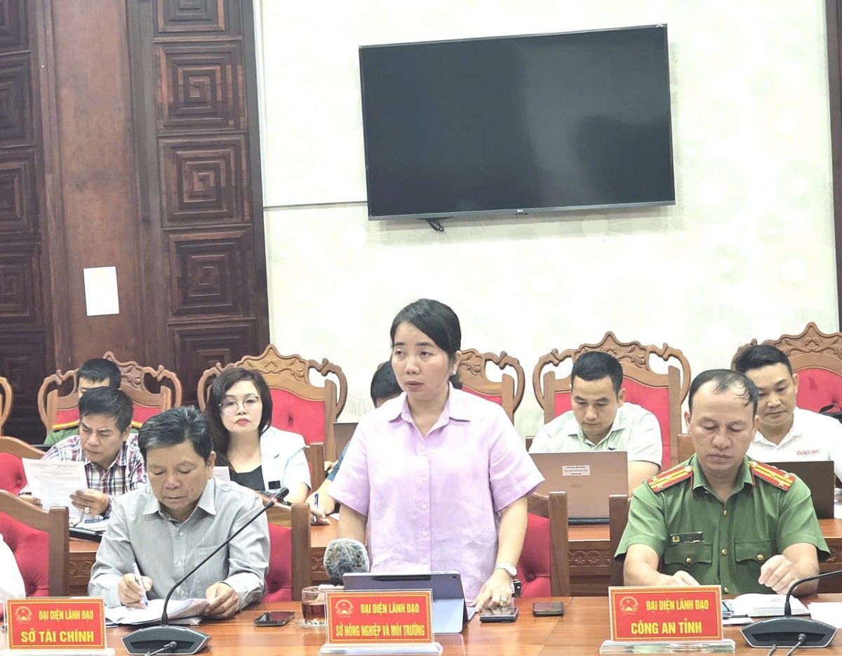 Đắk Lắk: Xã M’Drắk thừa nhận thiếu sót khi cho chuyển hơn 4.000m² đất rừng sai quy định