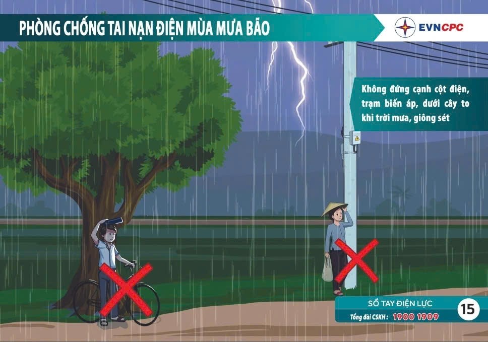 Đà Nẵng chủ động bảo vệ lưới điện trước mùa mưa bão 2026