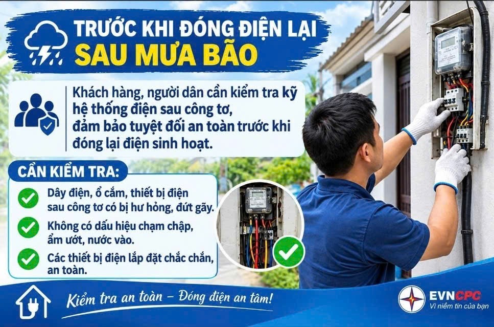 Đà Nẵng chủ động bảo vệ lưới điện trước mùa mưa bão 2026