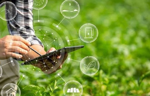 Ứng dụng công nghệ số trong quản lý sản xuất nông nghiệp hữu cơ và giải pháp phát triển bền vững