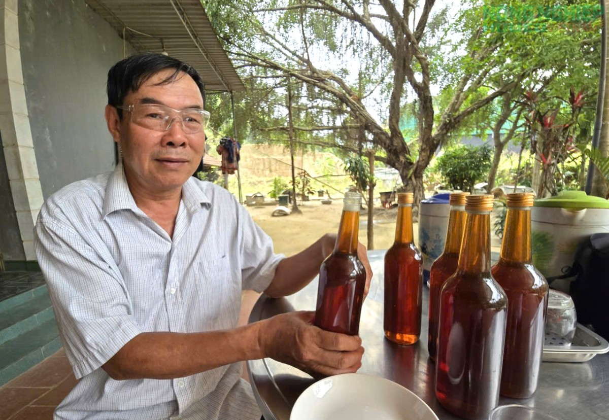 Làm giàu nhờ mô hình nuôi ong tự nhiên lấy mật của nông dân Nghệ An