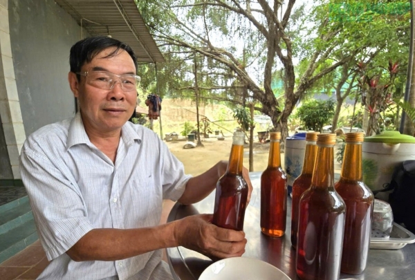 Làm giàu nhờ mô hình nuôi ong lấy mật của "lão nông" xứ Nghệ