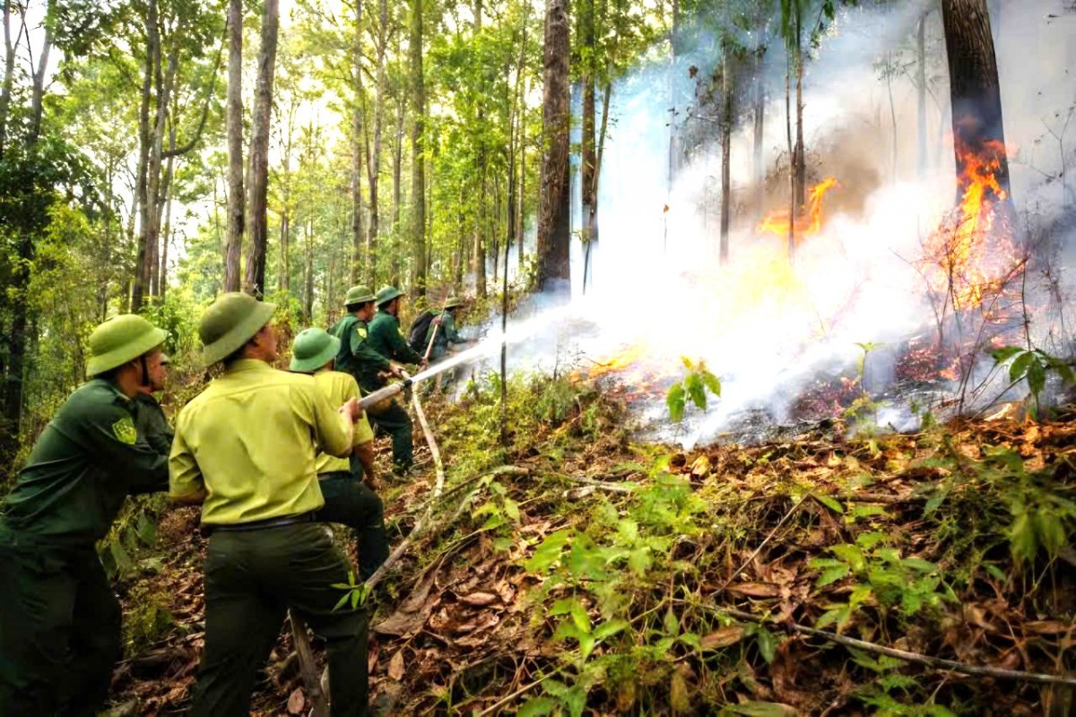 Đắk Lắk chủ động ứng phó El Niño, phòng hạn hán thiếu nước, cháy rừng mùa khô 2026-2027