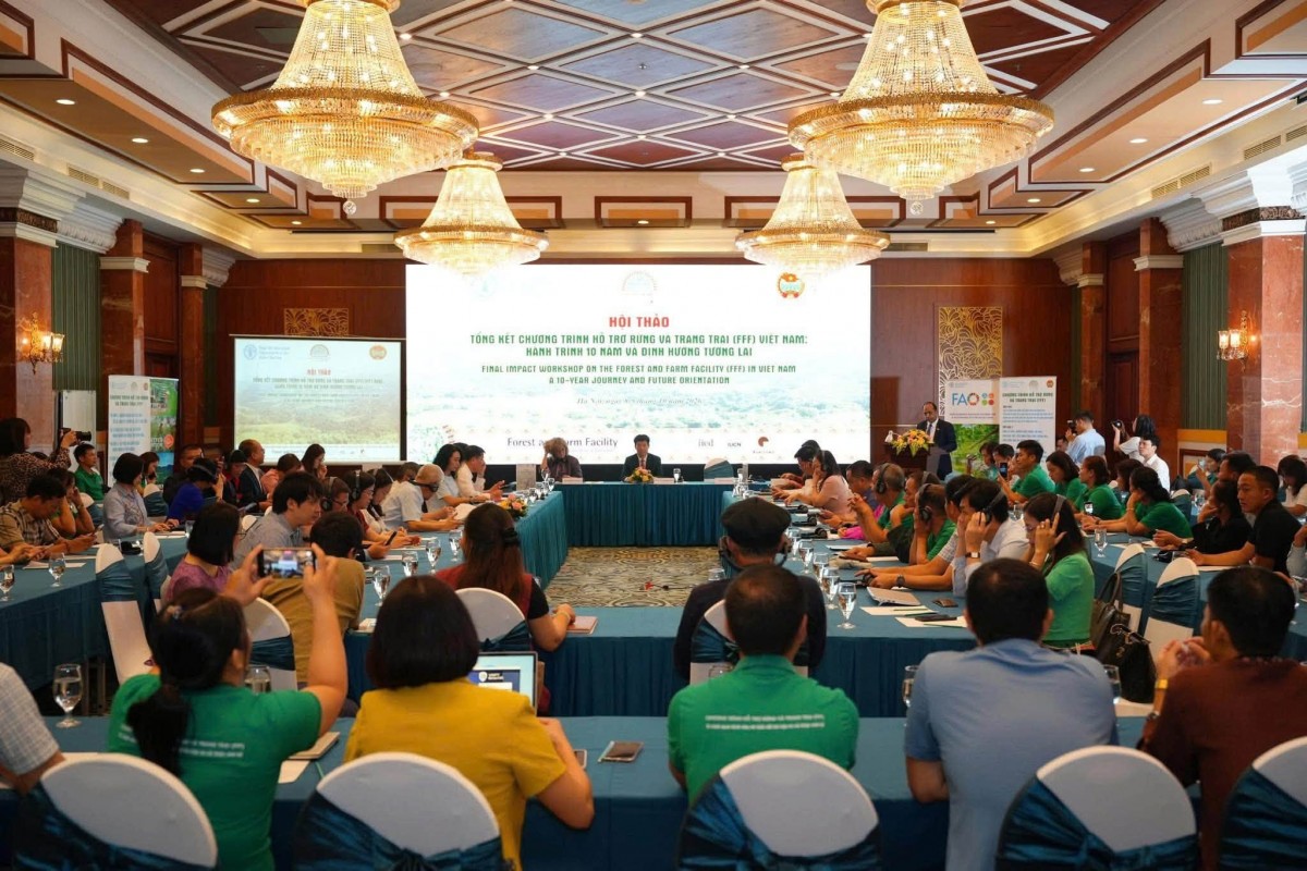 Toàn cảnh hội thảo tổng kết 10 năm Chương trình Hỗ trợ Rừng và Trang trại (FFF) tại Việt Nam, tổ chức ngày 9/10/2026 tại Hà Nội.