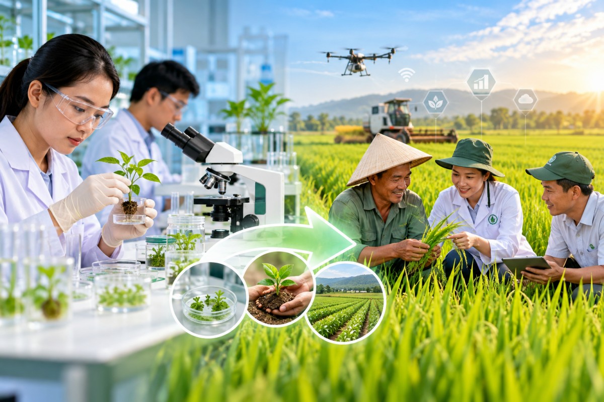 Đưa khoa học nông nghiệp từ phòng thí nghiệm ra đồng ruộng