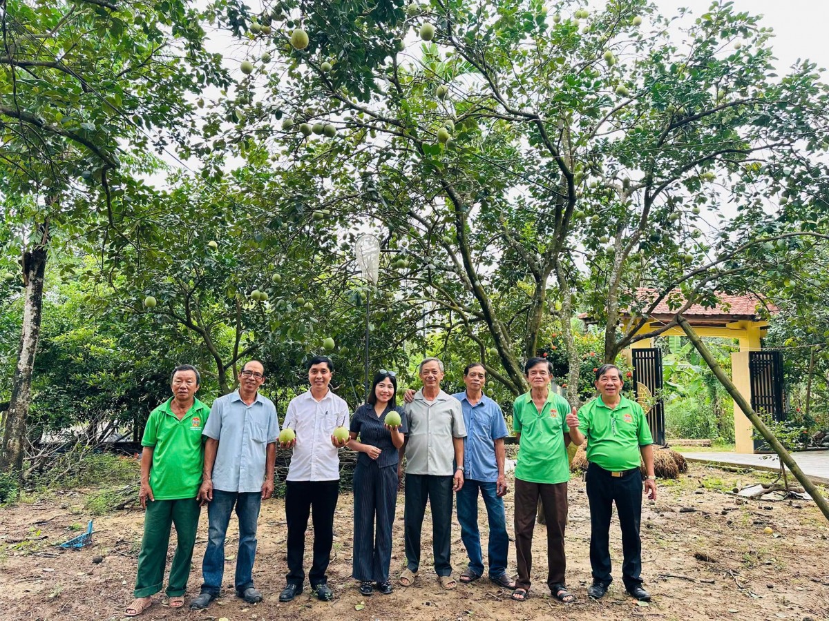 Hội Nông dân Huế thúc đẩy ứng dụng khoa học kỹ thuật trong trồng thanh trà