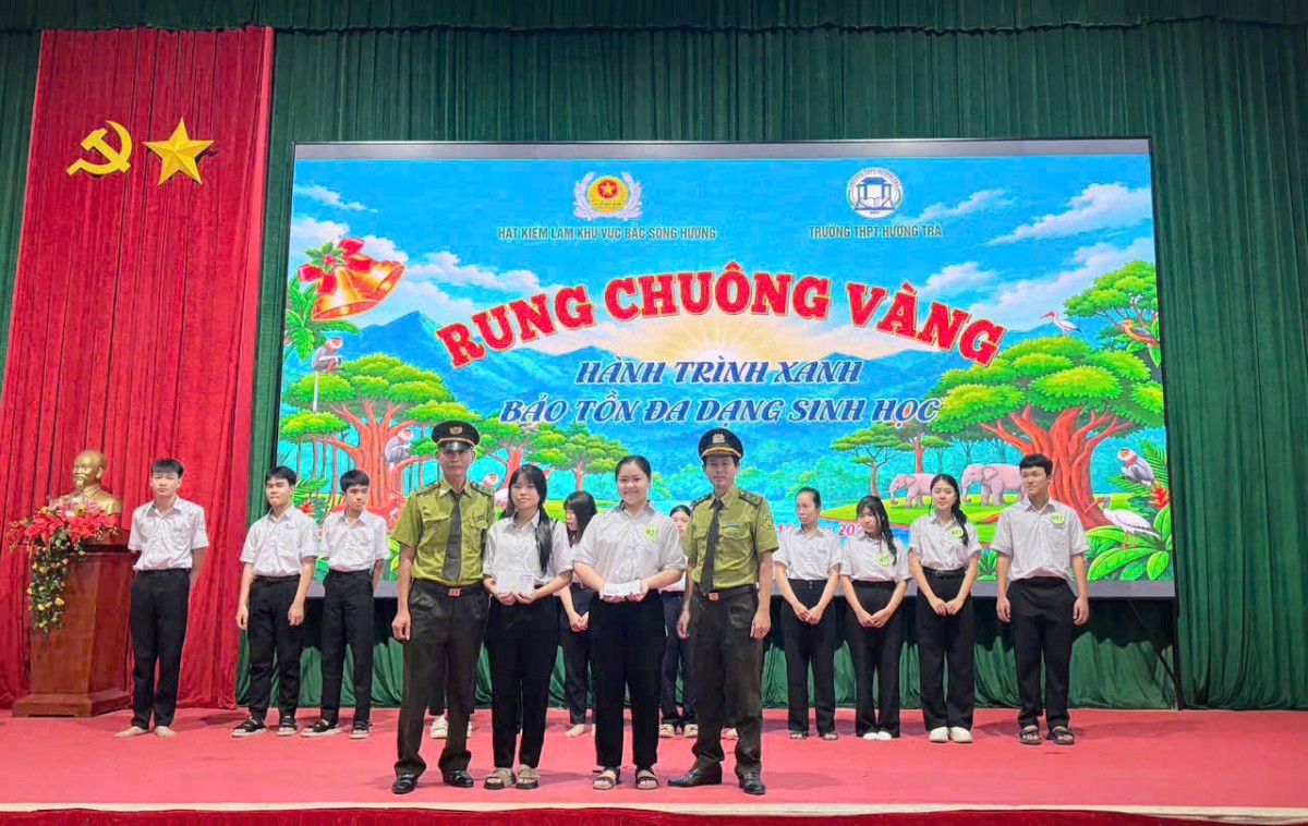 Hội thi 