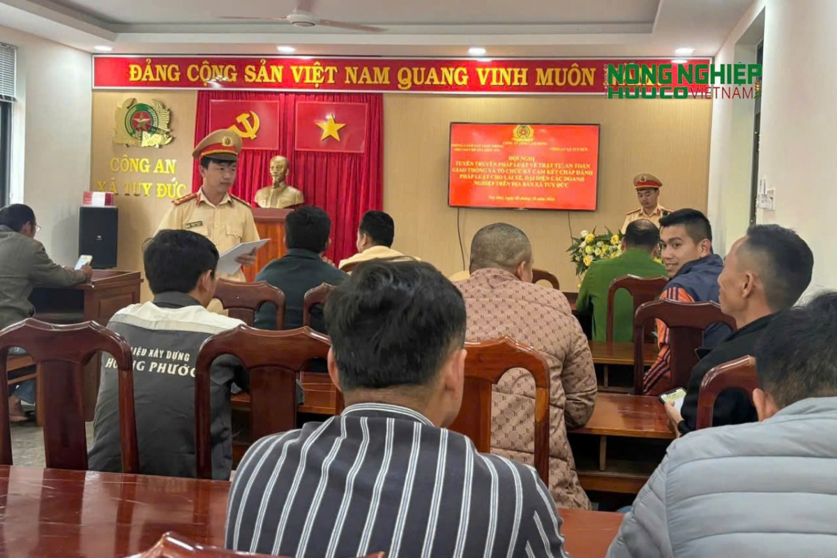 Lâm Đồng: Tăng cường tuyên truyền pháp luật giao thông cho các doanh nghiệp vận tải