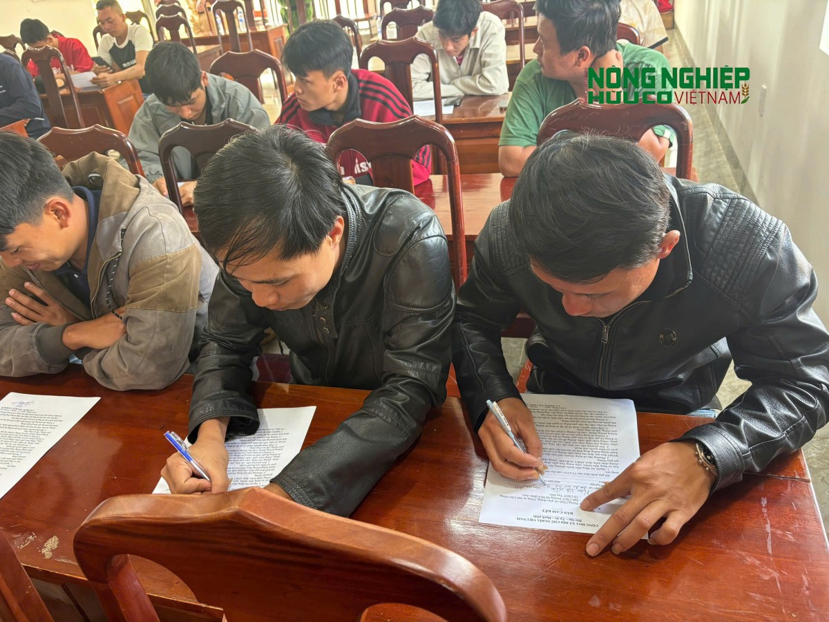 Lâm Đồng: Tăng cường tuyên truyền pháp luật giao thông cho các doanh nghiệp vận tải