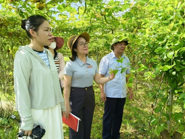 Nông dân Đô Lương đưa chủ trương của Đảng vào cuộc sống