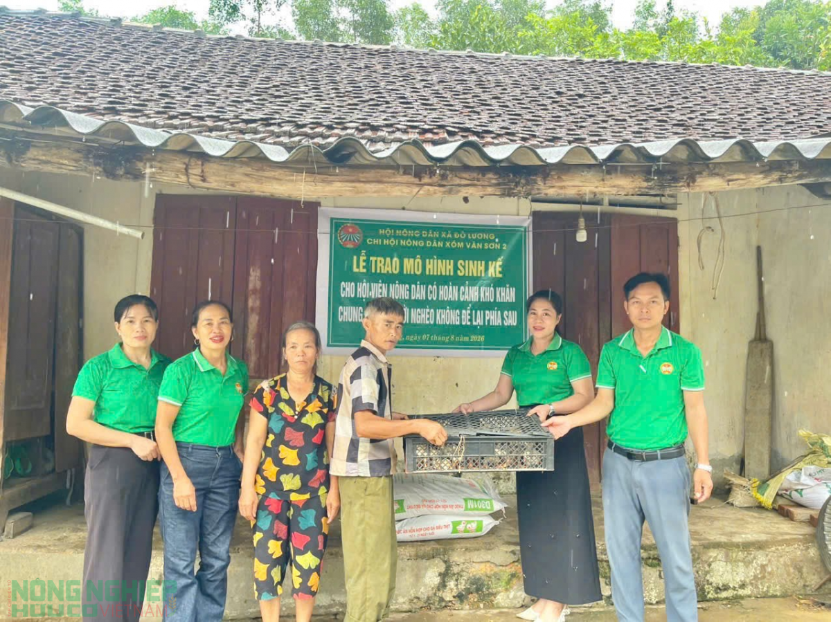 Nông dân Đô Lương đưa chủ trương của Đảng vào cuộc sống