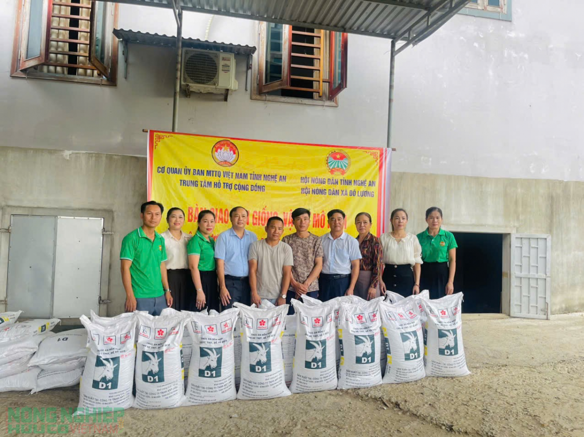 Nông dân Đô Lương đưa chủ trương của Đảng vào cuộc sống