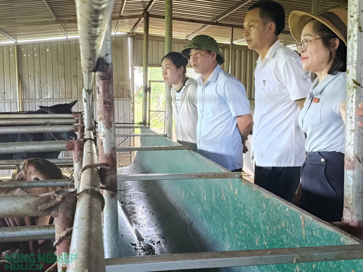Nông dân Đô Lương đưa chủ trương của Đảng vào cuộc sống