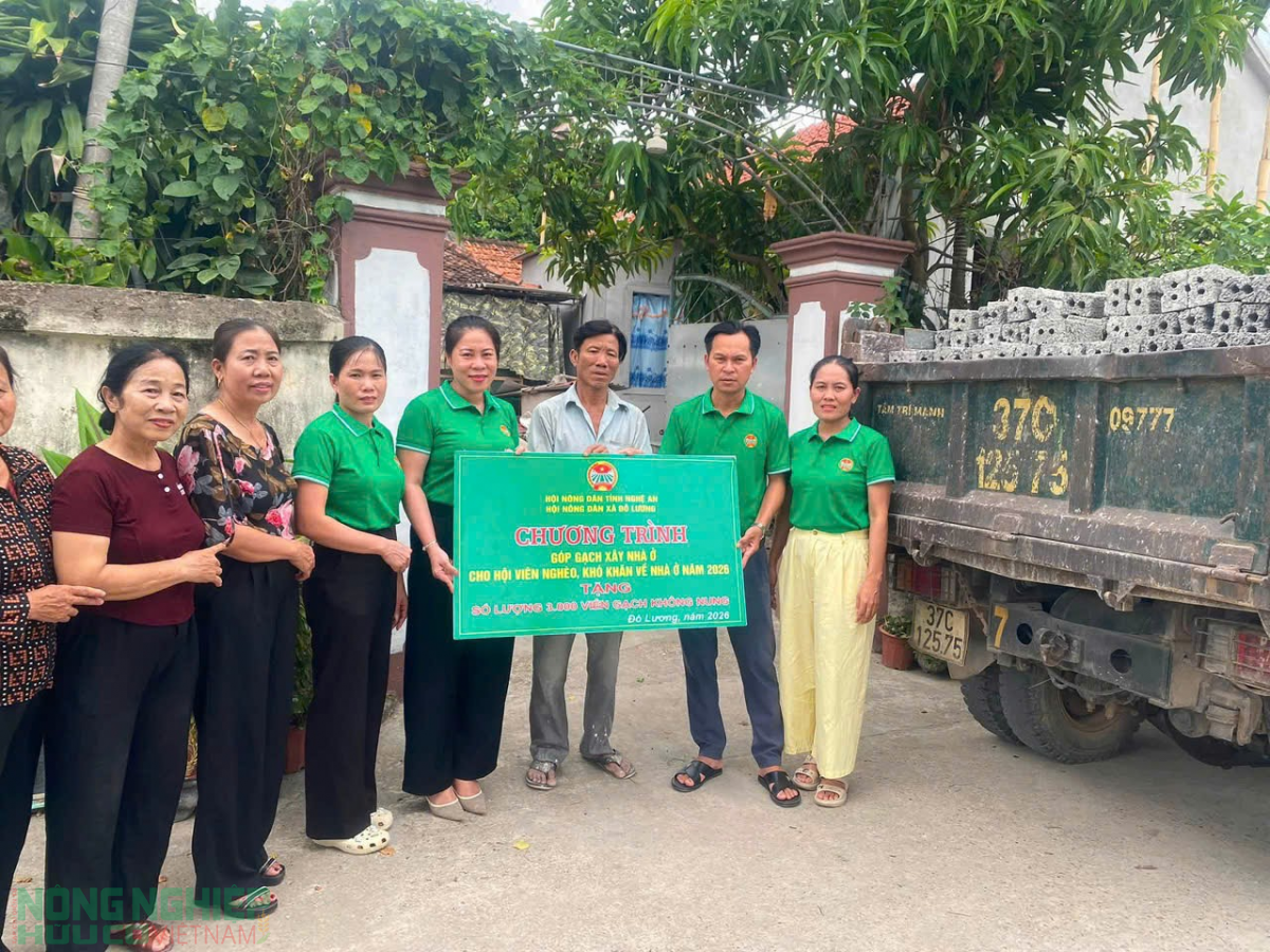 Nông dân Đô Lương đưa chủ trương của Đảng vào cuộc sống