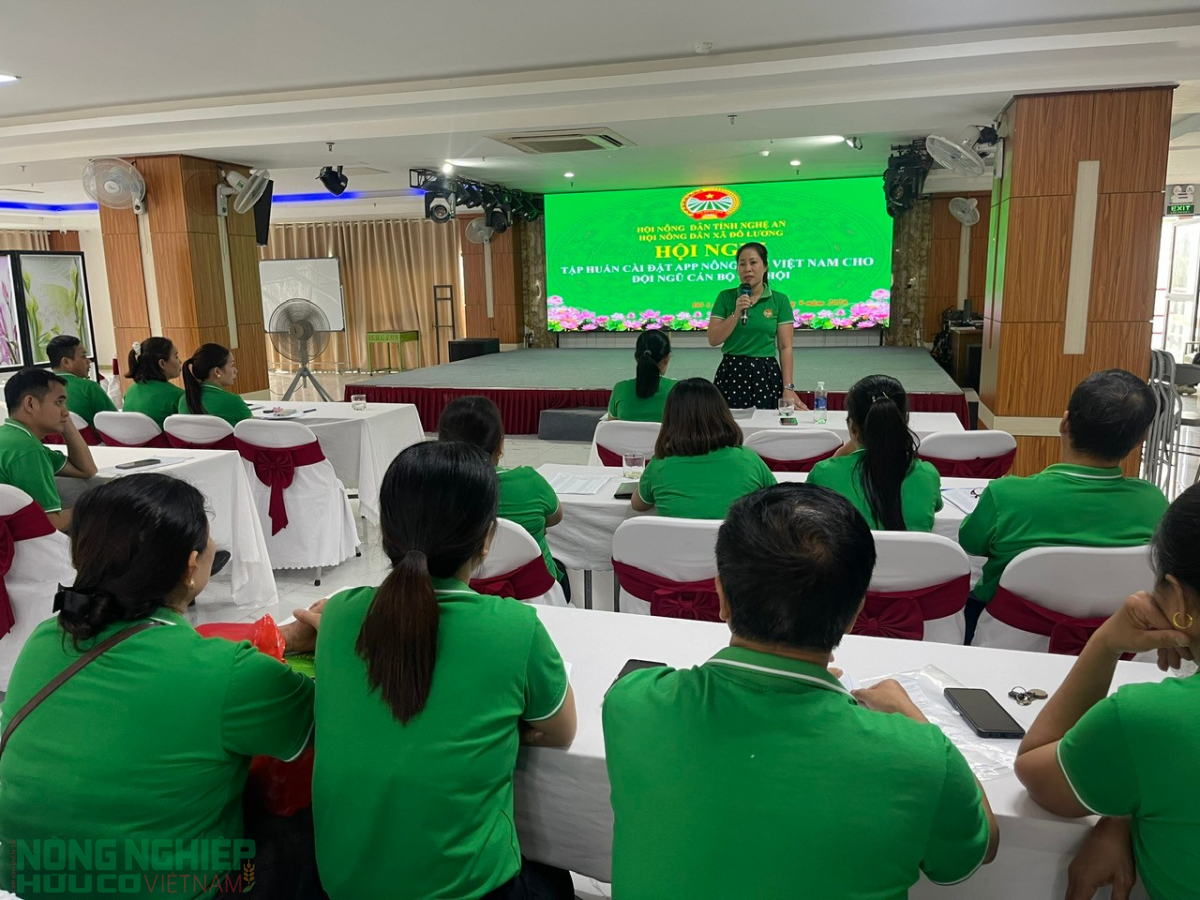 Nông dân Đô Lương đưa chủ trương của Đảng vào cuộc sống