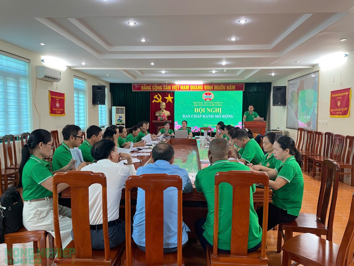 Nông dân Đô Lương đưa chủ trương của Đảng vào cuộc sống