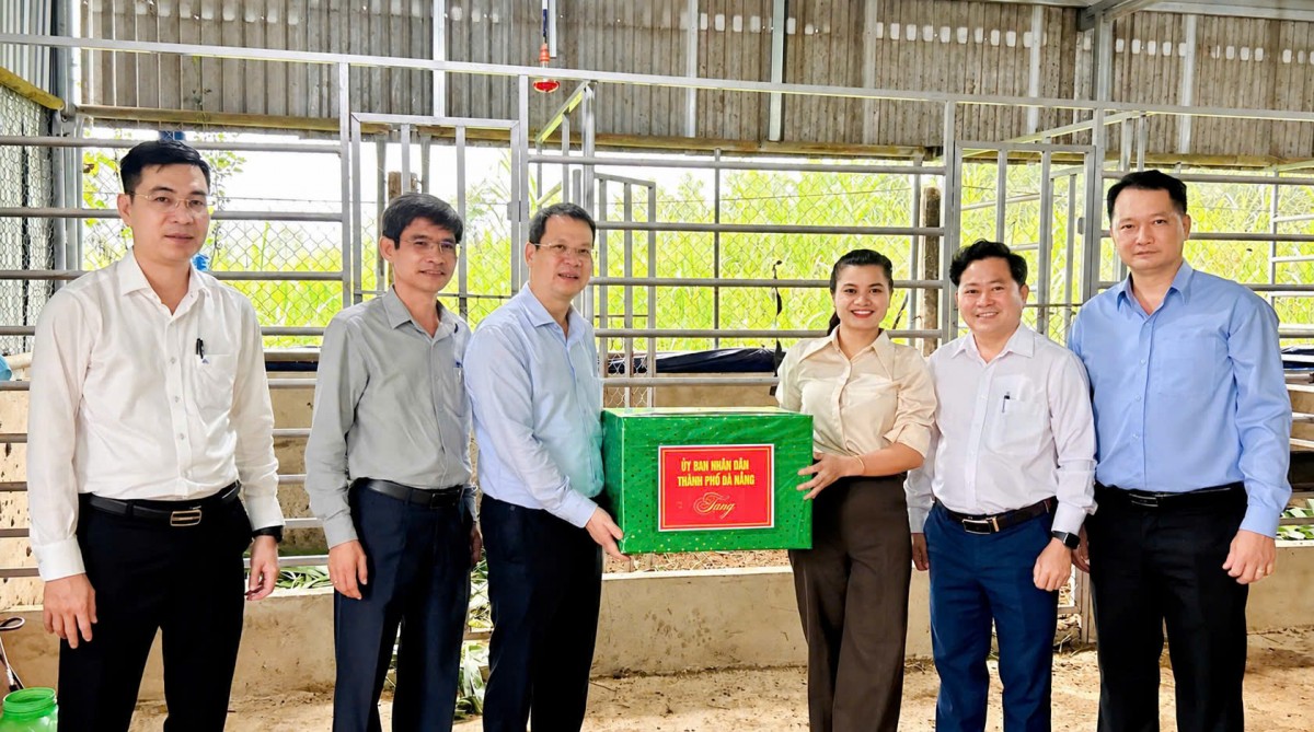 Nuôi hươu lấy nhung giúp người dân Phước Chánh tăng thu nhập