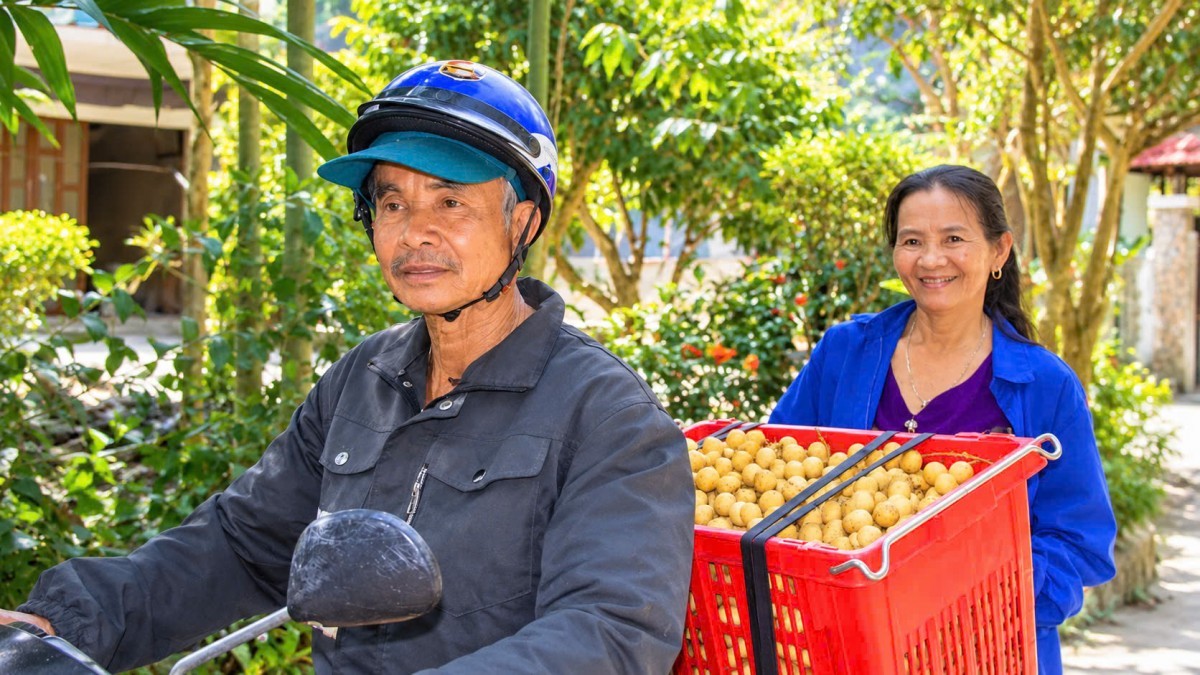 nong dan xu tien phan khoi khi bon bon duoc mua duoc gia