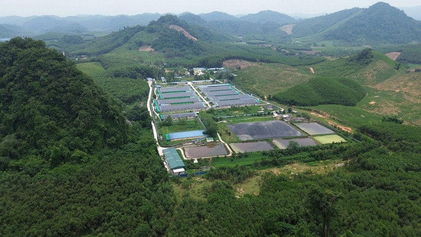 Vi phạm về môi trường, 4 trang trại chăn nuôi lợn ở Thanh Hóa bị xử phạt