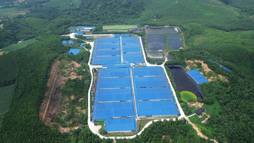 Vi phạm về môi trường, 4 trang trại chăn nuôi lợn ở Thanh Hóa bị xử phạt