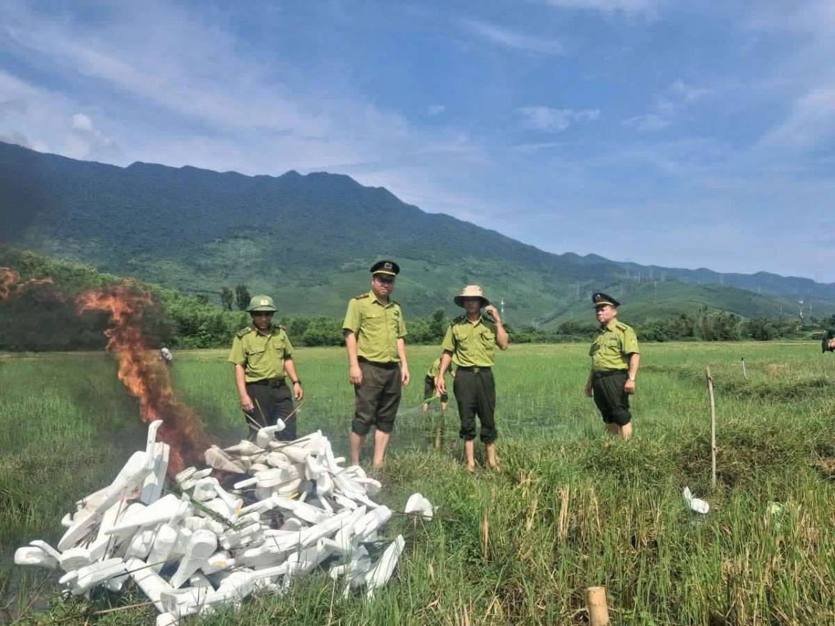 Xâm hại các loài động vật hoang dã có thể bị truy cứu trách nhiệm hình sự