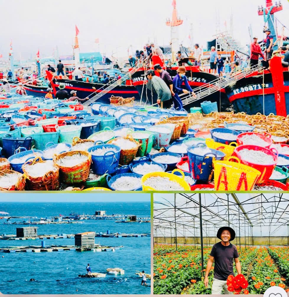 Lâm Đồng rà soát, đề xuất sắp xếp các hội thuộc lĩnh vực nông nghiệp và môi trường