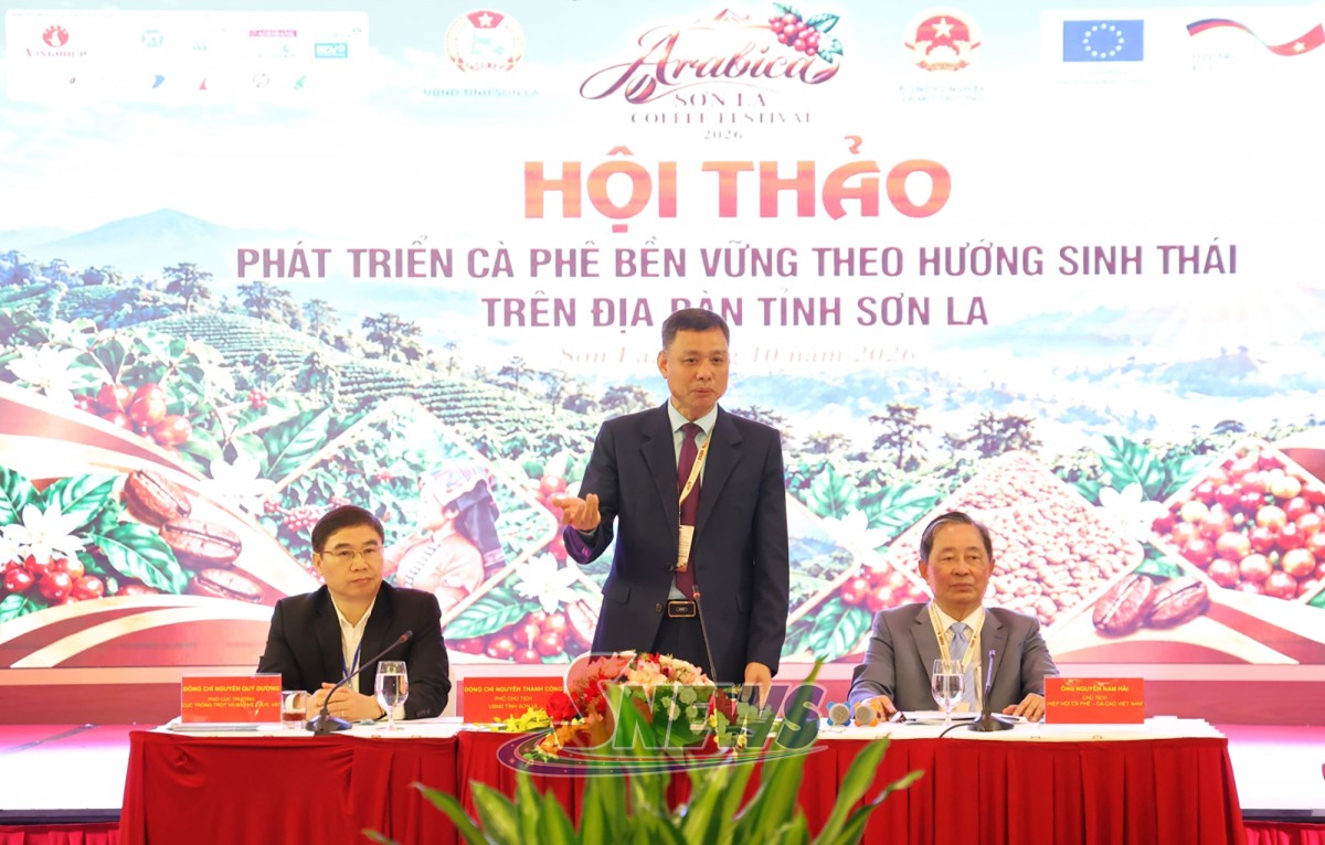 Cà phê Sơn La: Nâng tầm Arabica từ canh tác sinh thái