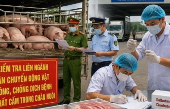Gia Lai tăng cường kiểm tra chất cấm Salbutamol trong chăn nuôi bảo vệ sức khỏe Nhân dân