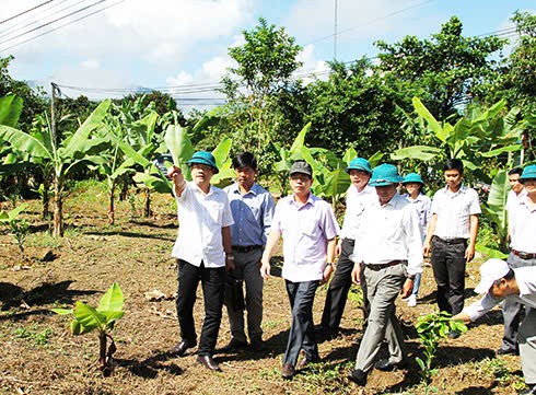 Khánh Hòa phấn đấu nâng thu nhập người lao động HTX lên 120 triệu đồng/năm vào năm 2030