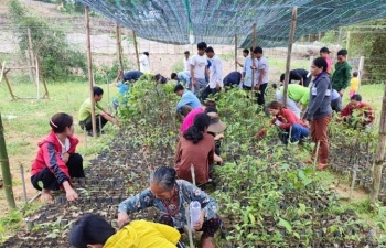 Phát triển sinh kế bền vững gắn với bảo vệ rừng và văn hóa Bru - Vân Kiều
