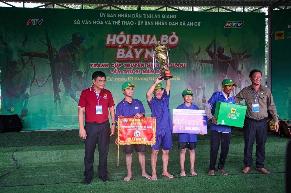 Bình Điền và 5 năm nối dài sức sống di sản Đua bò Bảy Núi
