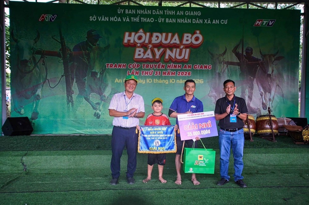 Bình Điền và 5 năm nối dài sức sống di sản Đua bò Bảy Núi