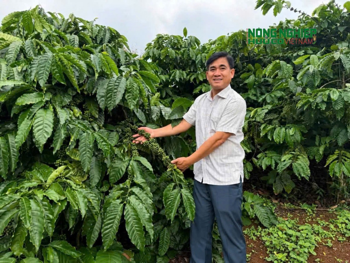 Người nông dân Quảng Trực vững vàng nơi phên dậu Tổ quốc